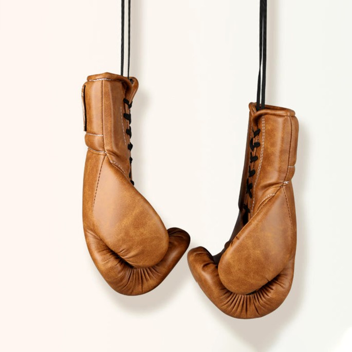 Microfiber Boxing Gloves