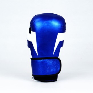 High Quality Taekwondo Boxing Gloves High Quality Taekwondo Boxing Gloves