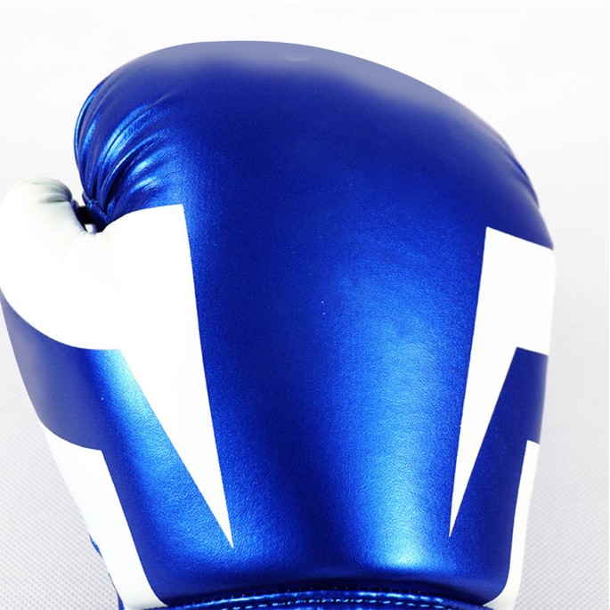 High Quality Taekwondo Boxing Gloves High Quality Taekwondo Boxing Gloves