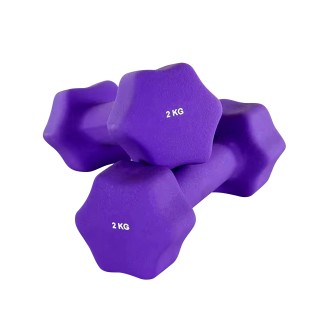 Hexagonal Dumbbells for Home Fitness Hexagonal Dumbbells for Home Fitness