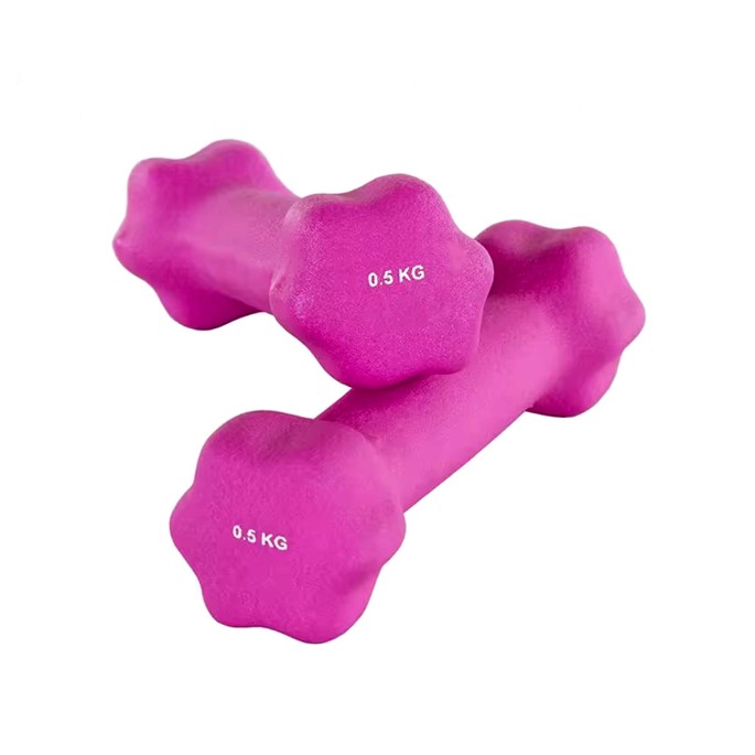 Hexagonal Dumbbells for Home Fitness Hexagonal Dumbbells for Home Fitness