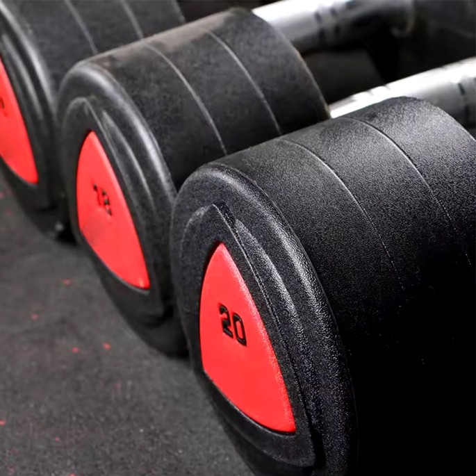 Fitness Training Dumbbells Fitness Training Dumbbells