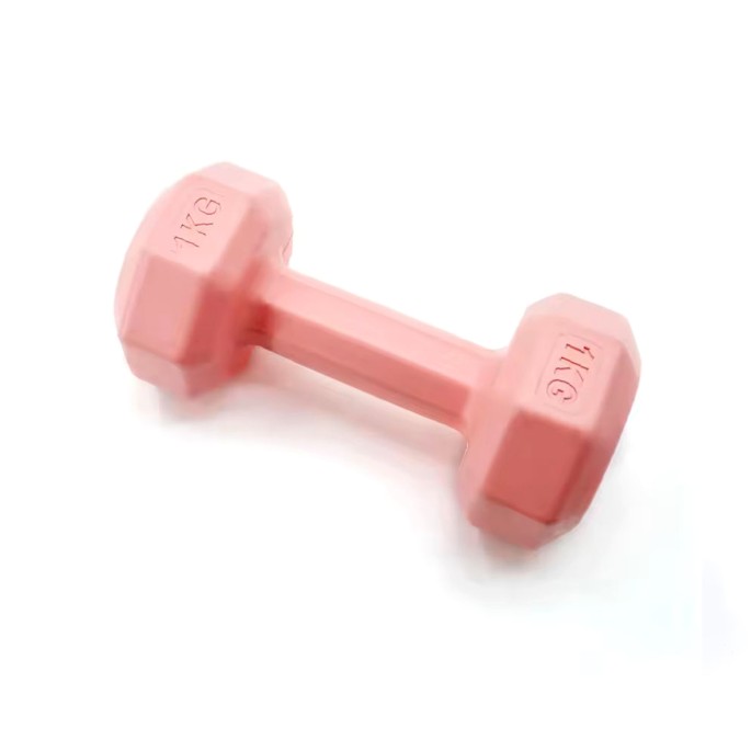 Portable Compact Cement Dumbbells Portable Compact Cement Dumbbells