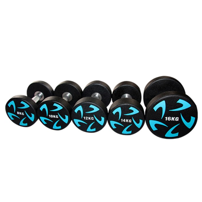 Round Dumbbells Round Dumbbells