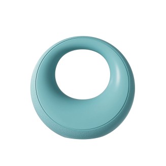 PU Ring Cast Iron Kettlebell